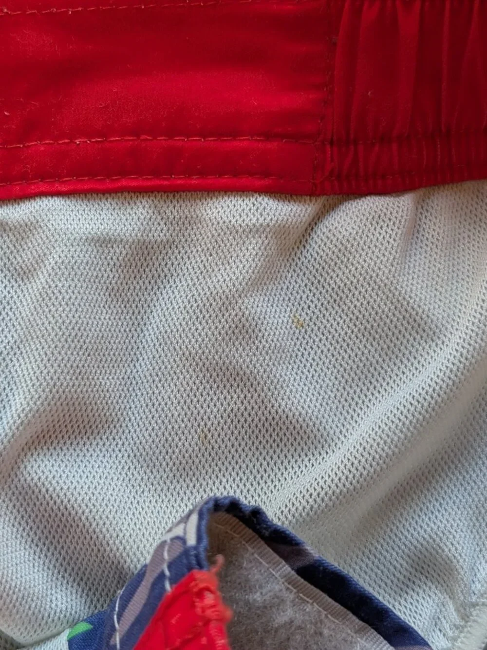 Mini Boden Swim Trunks